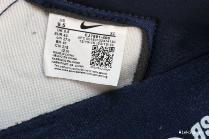 1 Midnight Jordan Navy Low SB 1009